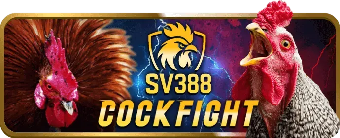 Chơi có trách nhiệm