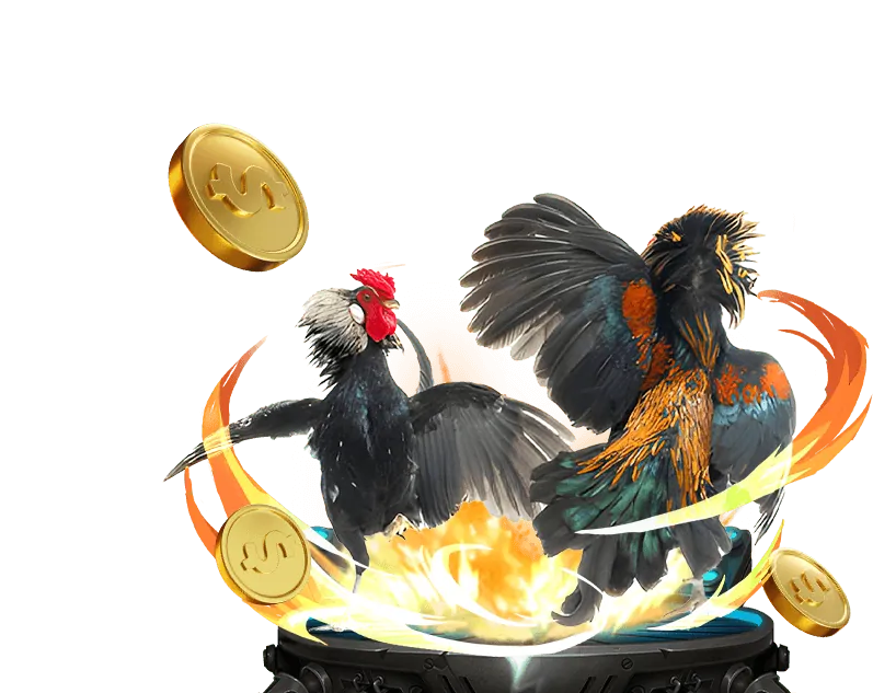 Tổng quan nền tảng Gemwin